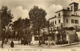 Le Cannet * Le Boulevard Carnot * Villa * Attelage - Le Cannet