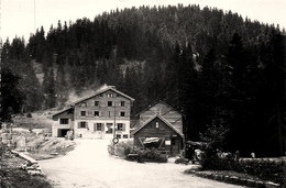 Lantosque * Le Col De Turini * Bar Buffet * Route - Lantosque