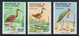 ** COTE D'IVOIRE - Other & Unclassified