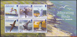 Alderney 2003 - Mi:BL 14, Yv:BL 14, Block - XX - Seabirds - Alderney