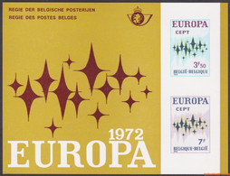 België 1972 - OBP:LX 60, Luxevel - XX - Europe 1972 - Folettos De Lujo [LX]