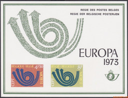 België 1973 - OBP:LX 61, Luxevel - XX - Europe 1973 - Luxevelletjes [LX]