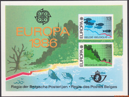 België 1986 - OBP:LX 75, Luxevel - XX - Europa 1986 - Folettos De Lujo [LX]