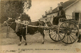 Chatelaillon * Retour De Pêche , Attelage Moderne * Boeuf - Châtelaillon-Plage