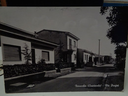 Cartolina Navacchio Frazione Di Cascina, In Provincia Di Pisa Via Profeti Anni 70 - Pisa