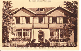 LA HAUTE VIENNE PITTORESQUE/ BUSSIèRE GALANT / HÔTEL DES PINS/ FAURE PROPRIéTAIRE/ EDIT. CL. M. ET Y. GéRAL - Bussiere Poitevine