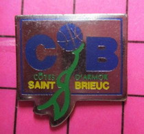 1017 Pin's Pins / Beau Et Rare / THEME : SPORTS / BASKET BALL COTES D'ARMOR (du Nord En Fait) ST BRIEUC - Basketball