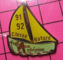 1017 Pin's Pins / Beau Et Rare / THEME : SPORTS / VOILE VOILIER 91 92 CLASSE NATURE ECOLE AUBEPINE Et On Bosse Quand ? - Voile