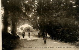 Peira Cava * Sortie De La Forêt De Turini à La Maïris * Route - Andere & Zonder Classificatie