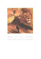 Male Lion And Lioness - Lions