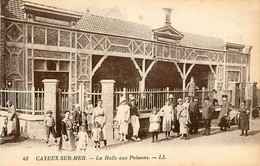 Cayeux Sur Mer * La Halle Aux Poissons * Halle Marché - Cayeux Sur Mer