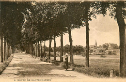 Kaltenhausen * La Route D'entrée Du Village * Panorama - Autres & Non Classés