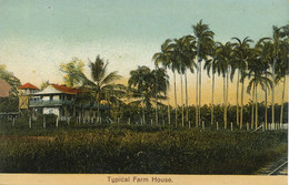 Typical Farm House  Hand Colored - Costa Rica