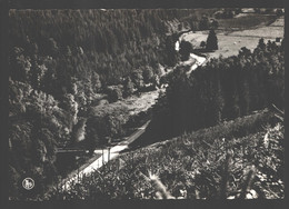 Lavacherie S/Ourthe - Le Pont Orban Dans La Vallée De Ste-Ode - Sainte-Ode