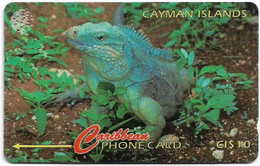 Cayman Isl. - Grand Cayman Iguana, 13CCIB, 1995, 25.000ex, Used - Kaaimaneilanden