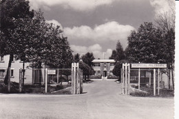 "Armor Et Patrie" St-Cyr-Coëtquidan. L'Hôpital Militaire - Autres & Non Classés