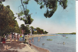 Aux Environs De VANNES à CONLEAU, La Plage - Sonstige & Ohne Zuordnung