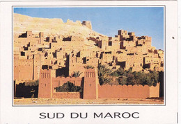 QO - Lote 11 Cartes   -  MAROC: Rabat - Casablanca - Marrakech - Fes - ...... - 5 - 99 Cartes