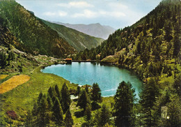 06 Vallée Des Merveilles Lac De La Minière Entre Les Vallées De La Roya Et De La Vésubie (Carte Vierge) - Altri & Non Classificati