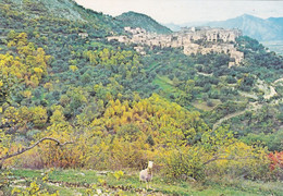 (P581) - SESTO CAMPANO (Isernia) - Panorama - Isernia