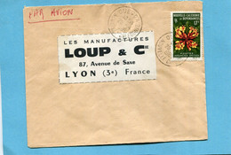 Marcophilie-Nouvelle Calédonie >Lettre-  Cad 1968 OUEGOA- Stamps  Thematic*N°321-Flower Deplanchéa - Lettres & Documents