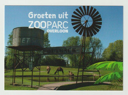 Groeten Uit ZOOparc Overloon (NL) - Boxmeer