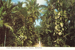 BAHAMAS - CLUB MEDITERRANEE GARDENS, NASSAU 1980 / P39 - Bahama's