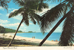 BAHAMAS - TYPICAL BEAUTIFULL BEACH / P42 - Bahama's