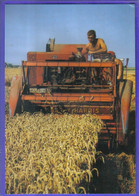 Carte Postale 28. Oinville-St-Liphard  Fabrice Coutadeur Agriculteur Sur Tracteur  Moissoneuse Massey-Harris - Other & Unclassified