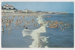 OCEAN CITY ,N.J.,POSTCARD - Ocean City