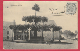 Macon - L'Arbre ( Ancien Tilleul  Planté Au XV E Siècle ) - 1909  ( Voir Verso ) - Momignies