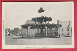 Macon ( Environs De Chimay ) - L'arbre ( Voir Verso ) - Momignies