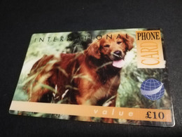 GREAT BRITAIN   10 POUND   WILD  LIFE COLLECTION    DOG/SETTER     DIT PHONECARD    PREPAID CARD      **5930** - Collezioni
