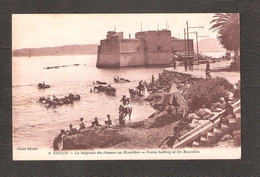 CPA VAR 83 TOULON FRANCE 83 TOULON No.8 LA BAIGNADE DES CHEVEAUX AU MOURRILLON HORSES BATHING - Toulon