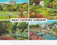 Unused John Hinde Postcard, UK, Devon, West Country Gardens - Ilfracombe