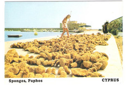 Zypern - Cyprus - Chypre - Paphos - Sponges - Old View Of The Castle - Zypern