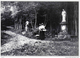 Carte Postale 68. Wintzenheim  La Chapelle Des Bois  Beerenthal   Trés Beau Plan - Wintzenheim