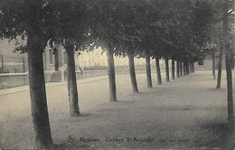 ENGHIEN. COLLEGE ST AUGUSTIN. COUR DES ELEVES - Enghien - Edingen