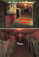 41 Noyers Sur Cher Thesee Les Caves De La Ramée Vin Vigne Vignes Viticulteur Gerard Gabillet - Noyers Sur Cher