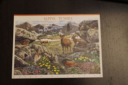 USA 2007; Alpine Tundra (IX); Flora Und Fauna, Rocky Mountains, Folienbogen, Sk, MiNr  3997-4000, MNH - Blocks & Sheetlets