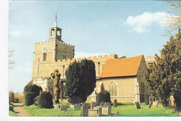 Unused  Postcard, Essex, Finchingfield Church - Colchester