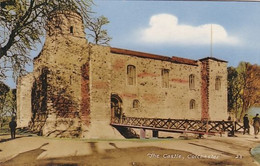 Unused  Postcard, Essex,  The Castle, Colchester - Colchester