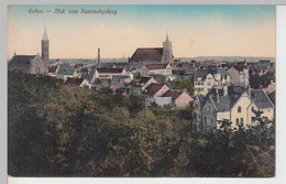 (106890) AK Guben, Gubin, Stadtkirche, Blick Vom Kaminskysberg, Feldpost 1917 - Neumark