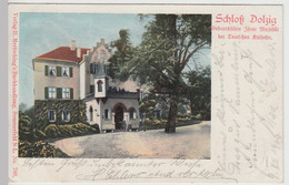 (115082) AK Dluzek (Dolzig), Schloss 1900 - Neumark