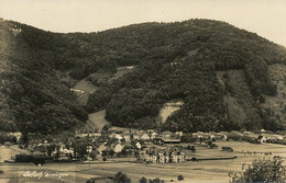 Real Photo Gutach Breisgau - Gutach (Breisgau)