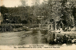 72 * Saint Léonard Des Bois - Saint Leonard Des Bois