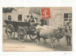 Cp , Agriculture ,ATTELAGE DE BOEUFS PYRENEENS , LES PYRENEES ,1 ére Série , Voyagée 1913 - Attelages