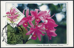 COSTA RICA (2021) Hacia Bicentenario Independencia - Guaria Morada National Flower, Flor, Fleur - Maximum Card - Costa Rica