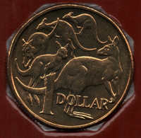 AUSTRALIA 1 DOLLAR 2005 KM# 489 Kangourous - Dollar