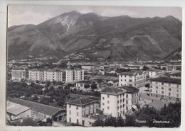 Massa , Panorama - Cartolina Viaggiata  1956 - (600) - Massa